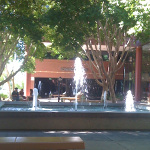 University of Phoenix campus