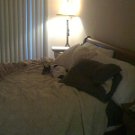 Desiree's bedroom photo album