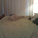 Desiree's bedroom