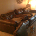 Desiree's home photo album